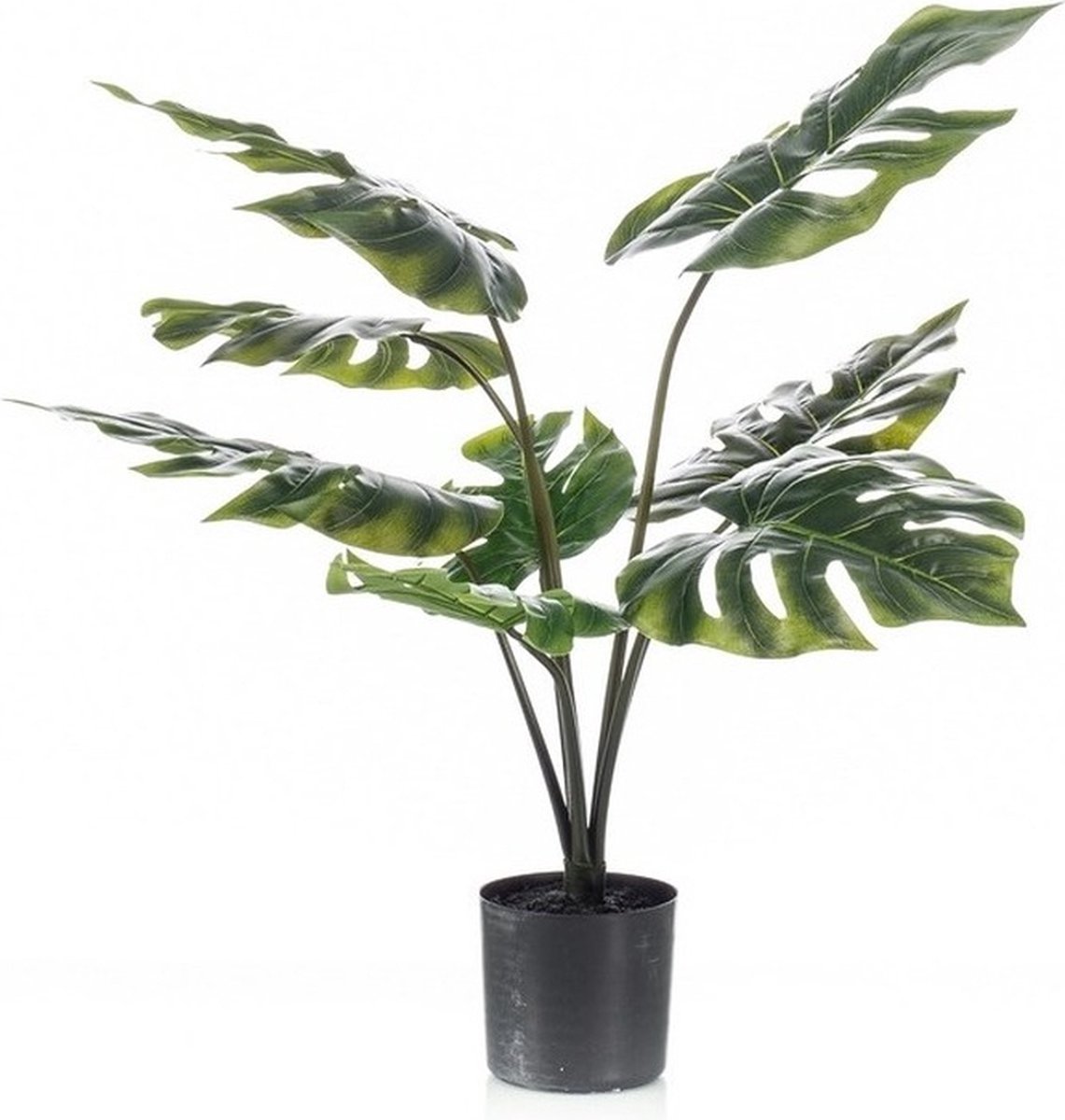Bellatio Flowers & Plants Kunstplant Monstera - 60 cm - Zwarte Pot - Onderhoudsvrije Gatenplant - Kunstplanten/nepplanten Groen