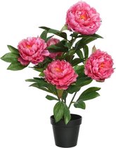 Roze Paeonia/pioenroos rozenstruik kunstplant 57 cm in zwarte plastic pot - Kunstplanten/nepplanten - Pioenrozen