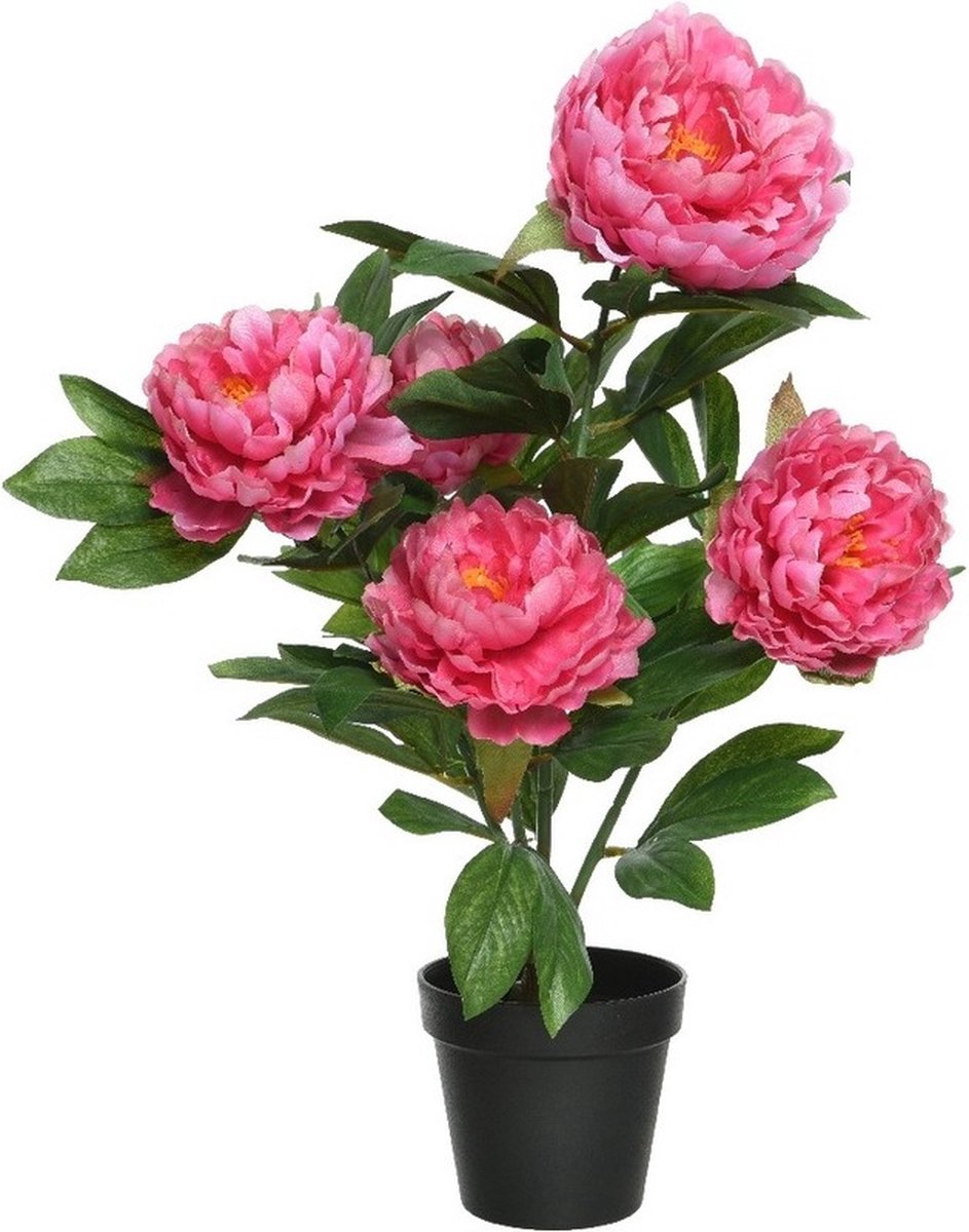 Bellatio Flowers & Plants Roze Paeonia/pioenroos - rozenstruik - kunstplant - 57 cm in zwarte plastic pot - Kunstplanten/nepplanten - Pioenrozen
