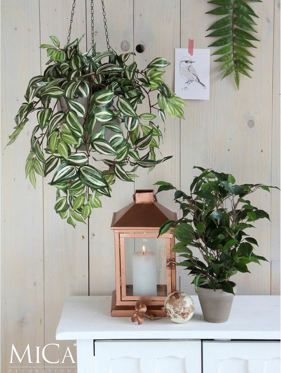 Hangplant met groene en witte bladeren, koperkleurige lantaarn met kaars, en kleine plant in grijze pot.