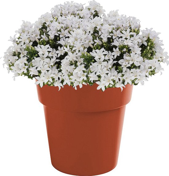 Pot de fleurs / pot de fleurs rond en terre cuite Melisa 25 cm plastique - Jardinières / jardinières incassables - Décorations de jardin