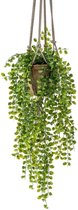 Kunstplant - ficus succelent - hangplant - groen - 80 cm - kunst kamerplant