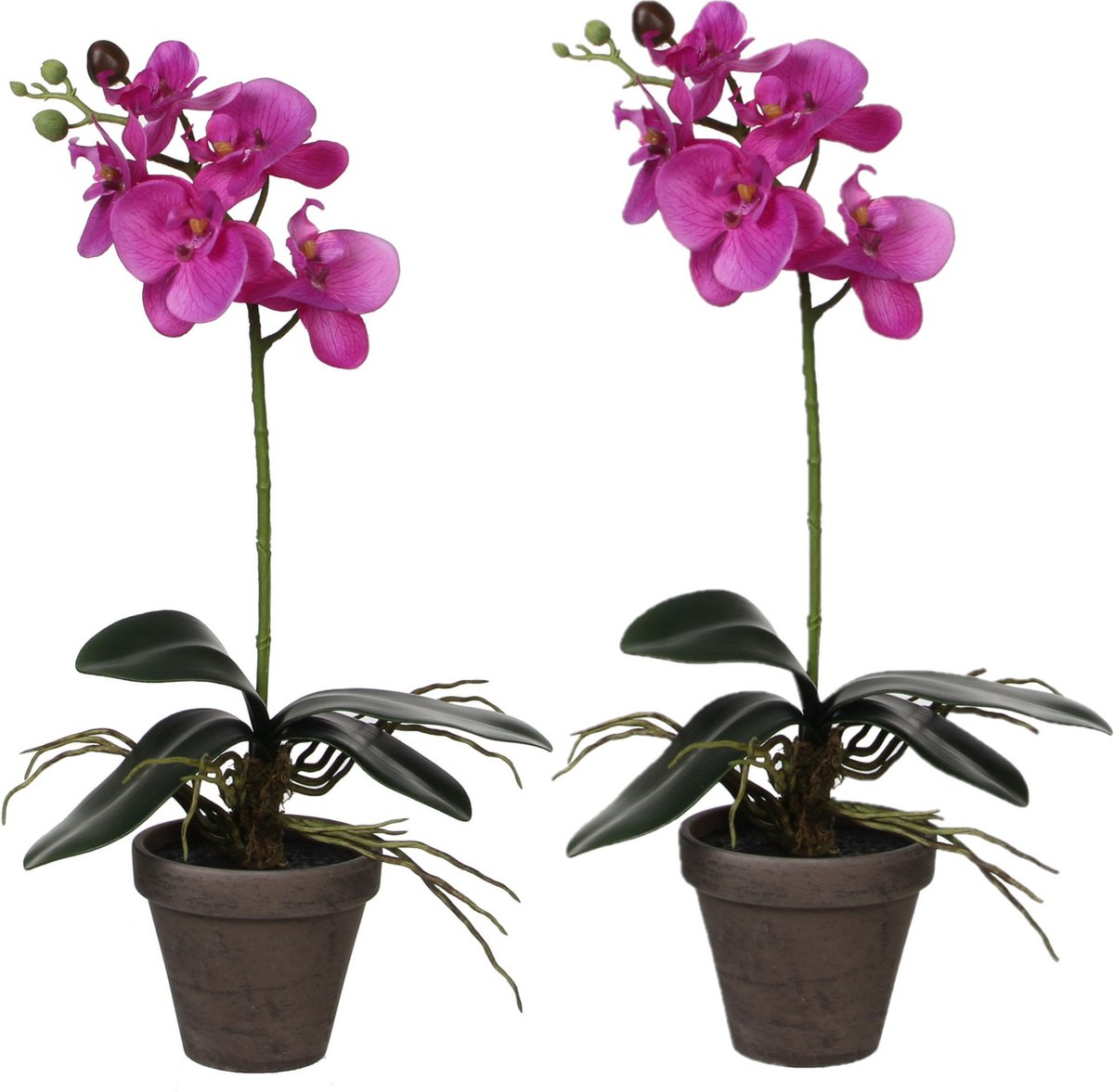 Mica Decorations Kunstplant - 2x stuks - Phalaenopsis orchidee - paars - 48 cm - Kunstplanten/nepplanten met bloemen