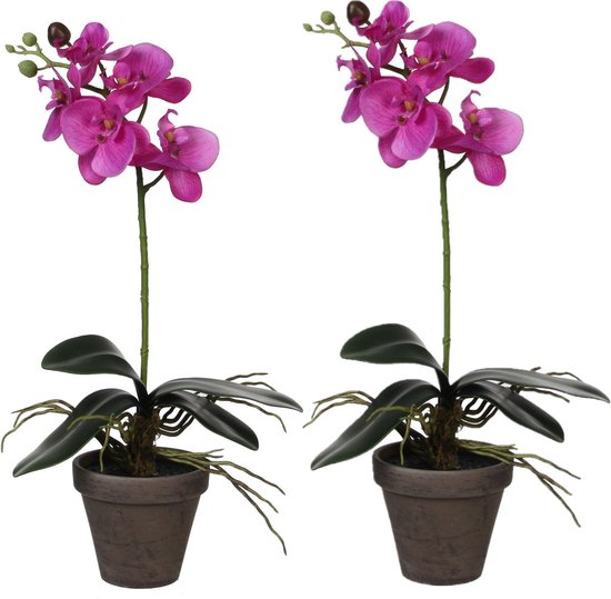 2x stuks phalaenopsis Orchidee kunstplanten paars in pot H48 x D13 cm cm - Kunstplanten/nepplanten met bloemen