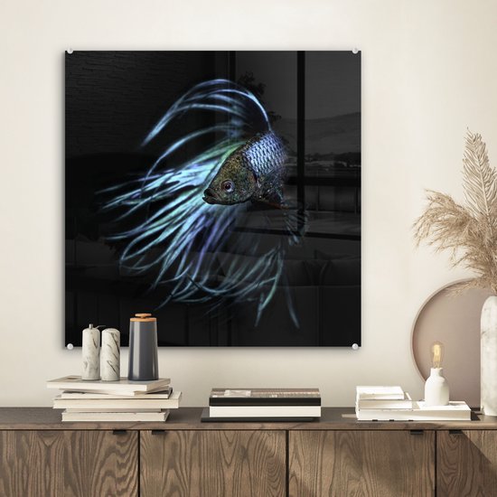 MuchoWow® Peinture sur verre 50x50 cm - Peinture acrylique sur verre - Poissons - Animaux aquatiques - Blauw - Zwart - Photo sur verre - Peintures