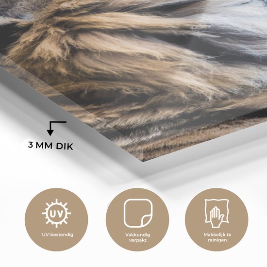 MuchoWow® Peinture sur verre - Tigre - Animaux - Portrait - 40x60 cm - Peintures sur verre acrylique - Photo sur Glas