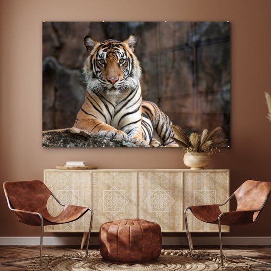 MuchoWow® Peinture sur verre - Tigre - Rocher - Montagnes - 180x120 cm - Peintures sur verre acrylique - Photo sur Glas