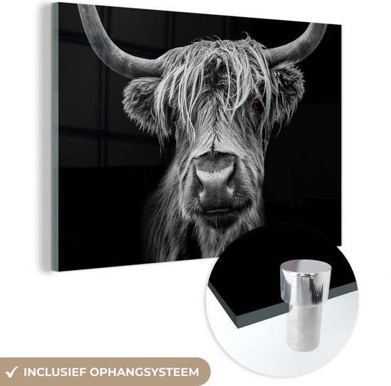 Glasschilderij Schotse hooglander - Koe - Zwart wit - Hoorns - Portret - Slaapkamer decoratie - Wanddecoratie glas - 90x60 cm - Foto op glas - Woonkamer - Glasplaat