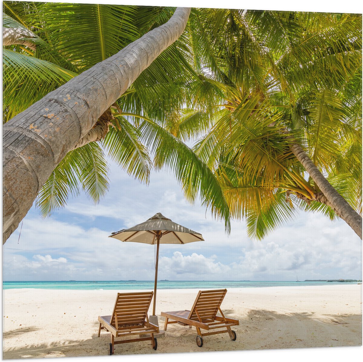 Vlag - Schuingroeiende Palmboom boven Ligbedden en Parasol op het Strand - 100x100 cm Foto