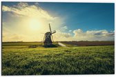 Dibond - Landschap - Water - Sloot - Molen - Gras - 60x40 cm Foto op Aluminium (Wanddecoratie van metaal)