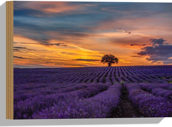 Hout - Landschap - Bloemen - Planten - Boom - Lavendel - Zonsondergnag - Paars - 40x30 cm - 9 mm dik - Foto op Hout (Met Ophangsysteem)