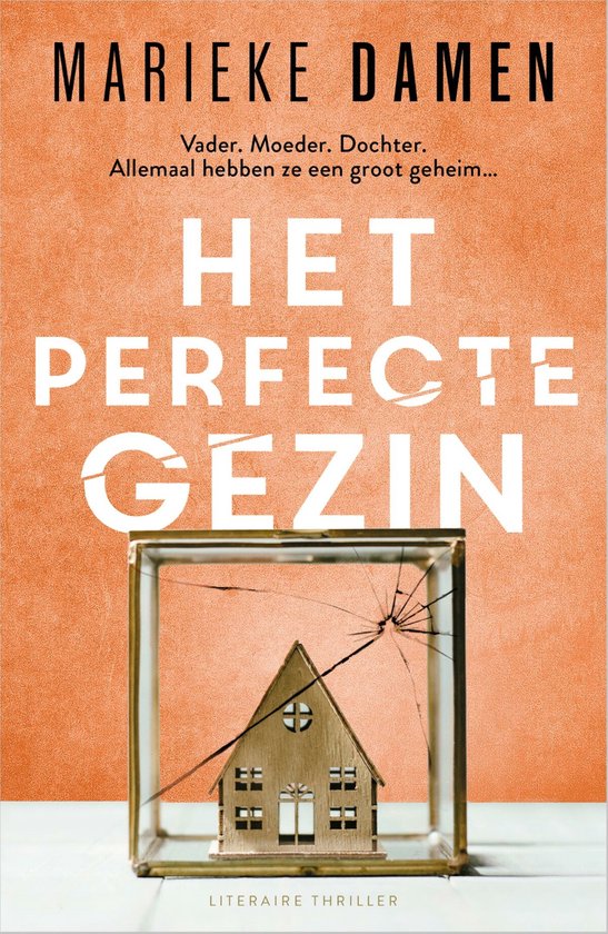 Het perfecte gezin - cover