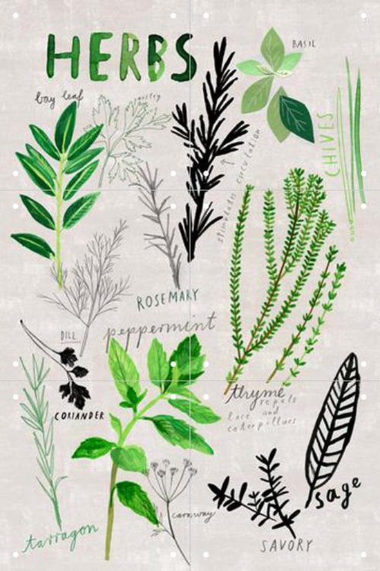 IXXI Herbs - Wanddecoratie - Eten en Drinken - 40 x 60 cm