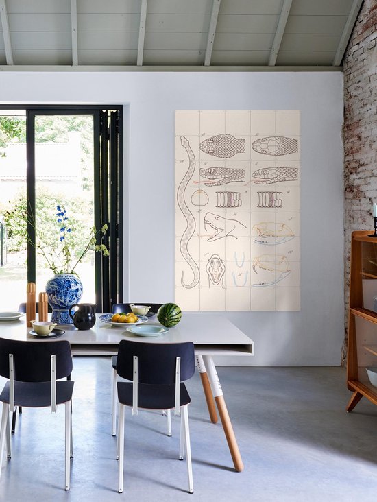 IXXI Serpent - Anatomie, Aster Edition - 100 x 140 cm - Gratis ophangtool - Grote wanddecoratie en posters - Technische Tekening, Illustraties, Line