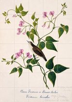 IXXI Plain Flowerpecker - Wanddecoratie - Dieren en insecten - 100 x 140 cm