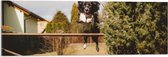 Acrylglas - Dieren - Hond - Tuin - Planten - Springen - 90x30 cm Foto op Acrylglas (Met Ophangsysteem)