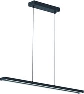 Hanglamp Steinhauer Zelena LED - Zwart