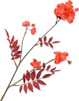 Silk-ka Kunstbloemen Nepbloem Zijden bloem - Bloesemtak Oranje 86cm 140808