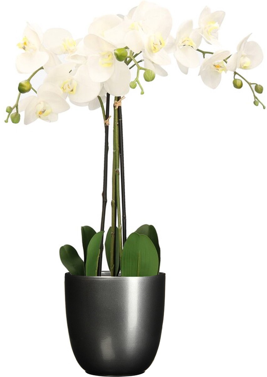 Mica Decorations Orchidee kunstplant wit - 75 cm - inclusief bloempot titanium grijs glans - Kunstbloemen in pot