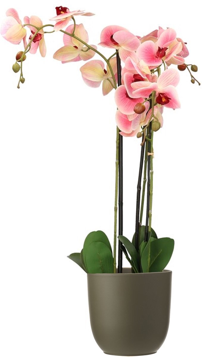 Mica Decorations Orchidee kunstplant roze - 75 cm - inclusief bloempot olijfgroen mat - Kunstbloemen in pot Olijf groen