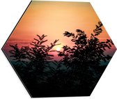 Dibond Hexagon - Bomen - Zon - Zonsondergang - Kleuren - 40x34.8 cm Foto op Hexagon (Met Ophangsysteem)