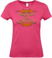 Dames T-shirt Veni Vidi Via Gladiola | Vierdaagse shirt | Wandelvierdaagse Nijmegen | Roze woensdag | Roze | maat XXL