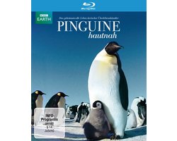 Pinguine Hautnah