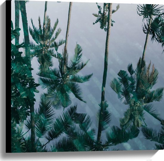 Canvas - Palmbomen - Bomen - Water - Groen - 60x60 cm Foto op Canvas Schilderij (Wanddecoratie op Canvas)