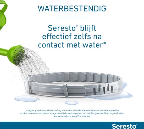 Een grijze Seresto halsband ligt op waterdruppels, terwijl een groene douchekop erop sproeit. De halsband is waterbestendig.