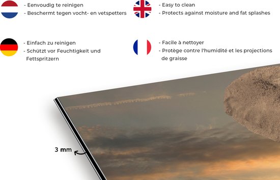 Spatscherm keuken 120x60 cm - Kookplaat achterwand Olifant - Dieren - Gras - Natuur - Muurbeschermer - Spatwand fornuis - Hoogwaardig aluminium