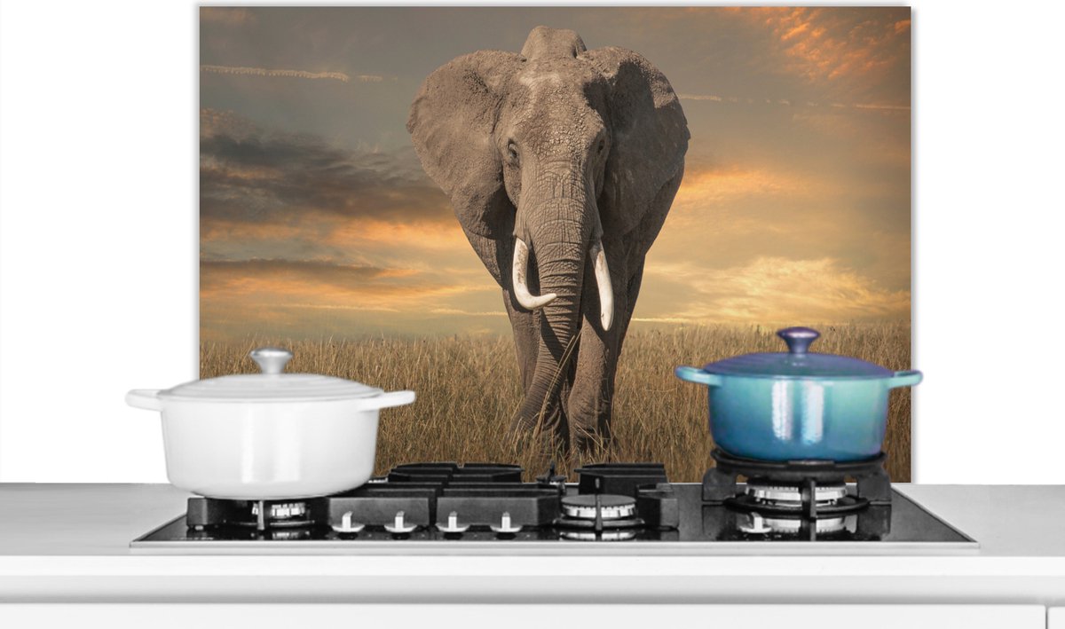 Spatscherm keuken 90x60 cm - Kookplaat achterwand Olifant - Dieren - Gras - Natuur - Muurbeschermer - Spatwand fornuis - Hoogwaardig aluminium