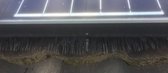 3 stuks vogelweringborstel - zonnepanelenborstel – zonnepanelen borstel - 4.10 Meter lang X Ø 12 CM ( =12 mtr ) vogel wering borstel anti vogel nest