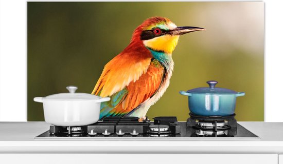 Foto: Spatscherm keuken 120x60 cm kookplaat achterwand vogels bijeneter regenboog dieren muurbeschermer spatwand fornuis hoogwaardig aluminium