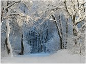 Poster Glanzend – Sneeuw - Bomen - Bossen - 80x60 cm Foto op Posterpapier met Glanzende Afwerking