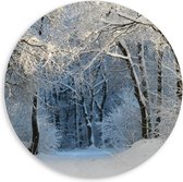 PVC Schuimplaat Muurcirkel - Sneeuw - Bomen - Bossen - 60x60 cm Foto op Muurcirkel (met ophangsysteem)