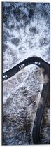 Dibond - Sneeuw - Bomen - Bossen - Voertuigen - Auto - Weg - 20x60 cm Foto op Aluminium (Met Ophangsysteem)