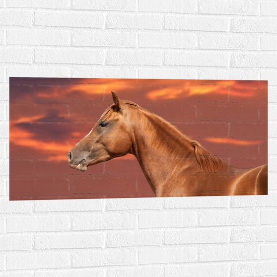 Muursticker - Zijaanzicht van Glanzend Bruin Paard onder Oranje Gloed in de Lucht - 100x50 cm Foto op Muursticker