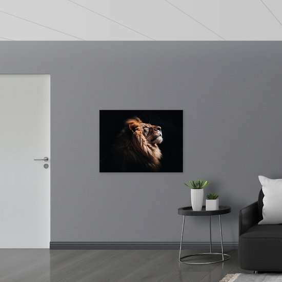Dibond - Zijaanzicht van Leeuw in de Zonnestralen tegen Zwarte Achtergrond - 100x75 cm Foto op Aluminium (Wanddecoratie van metaal)