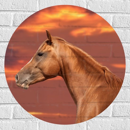 Muursticker Cirkel - Zijaanzicht van Glanzend Bruin Paard onder Oranje Gloed in de Lucht - 60x60 cm Foto op Muursticker