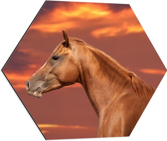 Dibond Hexagon - Zijaanzicht van Glanzend Bruin Paard onder Oranje Gloed in de Lucht - 60x52.2 cm Foto op Hexagon (Met Ophangsysteem)