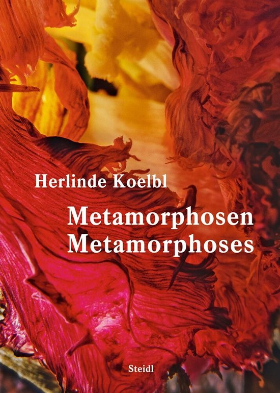 Herlinde Koelbl: Metamorphoses (Bilingual edition) - cover
