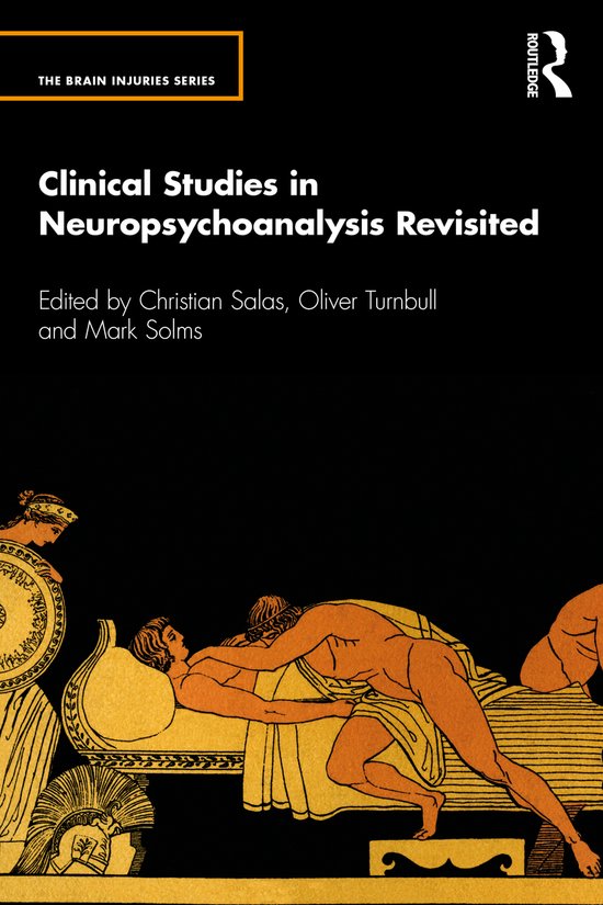 The Brain Injuries Series- Clinical Studies in Neuropsychoan ... - cover