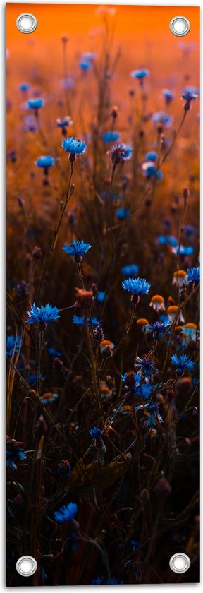 Tuinposter – Landschap - Bloemen - Planten - Blauw - Natuur - 20x60 cm Foto op Tuinposter (wanddecoratie voor buiten en binnen)