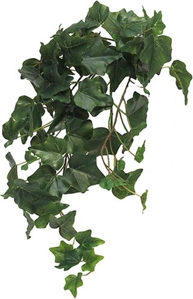 Erutan avon Ivy Chicago M kunsthangplant Erutan Avon Groen