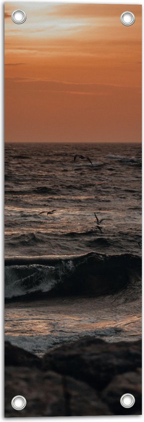 Tuinposter – Oceaan - Zee - Rotsen - Stenen -Dieren - Vogels - Meeuwen - Golven - 20x60 cm Foto op Tuinposter (wanddecoratie voor buiten en binnen)