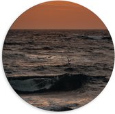 Dibond Muurcirkel - Oceaan - Zee - Rotsen - Stenen -Dieren - Vogels - Meeuwen - Golven - 60x60 cm Foto op Aluminium Muurcirkel (met ophangsysteem)