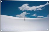 Tuinposter – Landschap - Sneeuw - Boompje - 90x60 cm Foto op Tuinposter (wanddecoratie voor buiten en binnen)