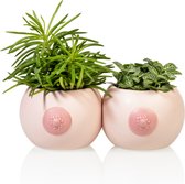 Borst bloempotjes set van 2 - Bitten Design