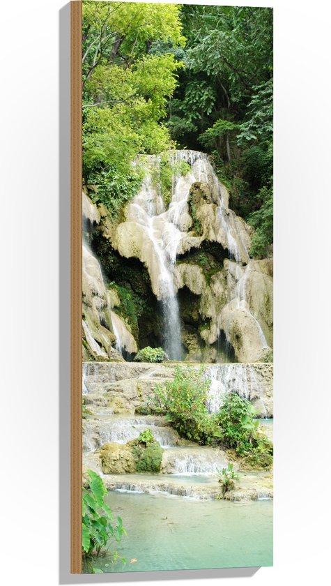 Hout - Beekje - Water - Waterval - Bomen - Planten - Kleuren - Natuur - 30x90 cm - 9 mm dik - Foto op Hout (Met Ophangsysteem)