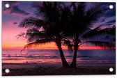 Tuinposter – Twee Palmbomen op het Strand langs de Zee bij Zonsondergang - 60x40 cm Foto op Tuinposter (wanddecoratie voor buiten en binnen)